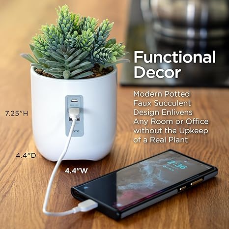 Vibrant Succulent Usb Charging Station Indoor Decor Arrangement