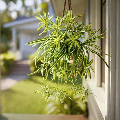 Timeless Artificial Spider Hanging Chlorophytum Home Decor Selection