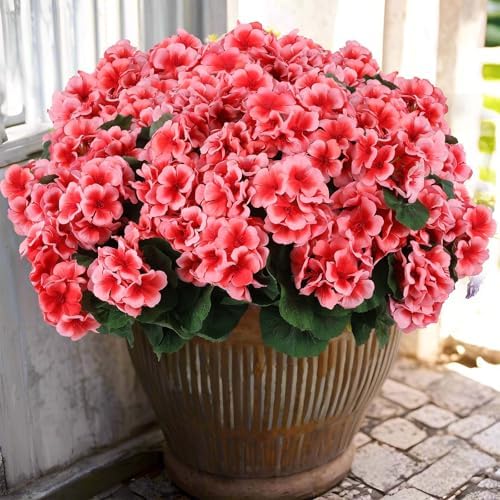 Decorative Artificial Geranium Rose Kitchen Home Decor Series