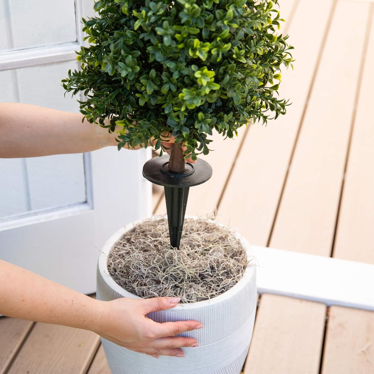 Modern Artificial Boxwood Greenery Dried Indoor Decor Series