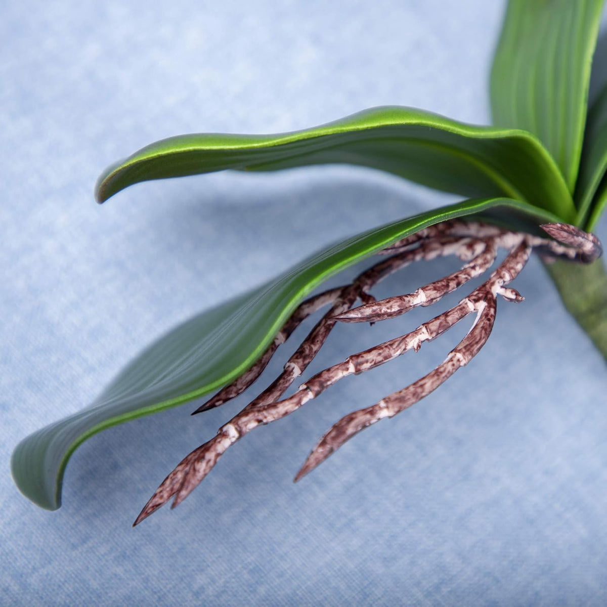 Lifelike Real Touch Artificial Orchid Indoor Decor Assortment