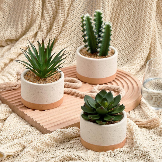 Artificial Succulent Plants in Ceramic Pots, Faux Assorted Succulents Fake Cactus Plants for Home Decor, Bedroom, Office, Desk, Living Room, Set of 3…