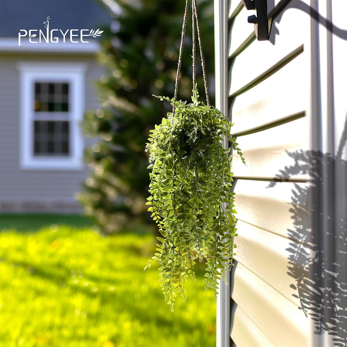 Natural Artificial Hanging Dried Style Indoor Decor Series