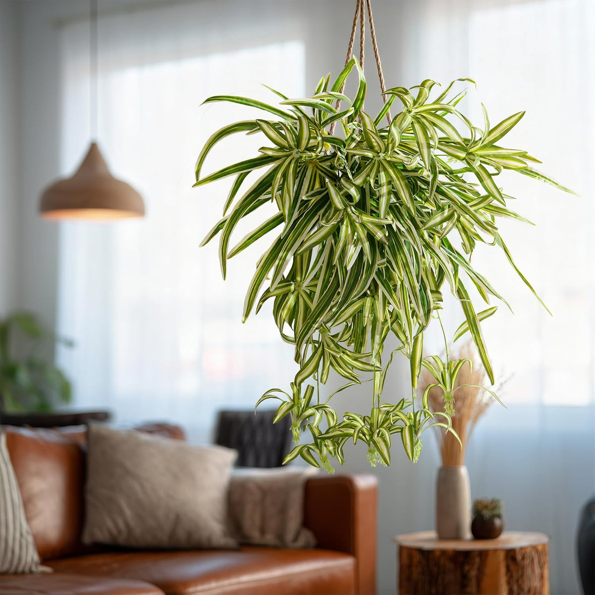 Lifelike Artificial Spider Hanging Chlorophytum Home Decor Bundle