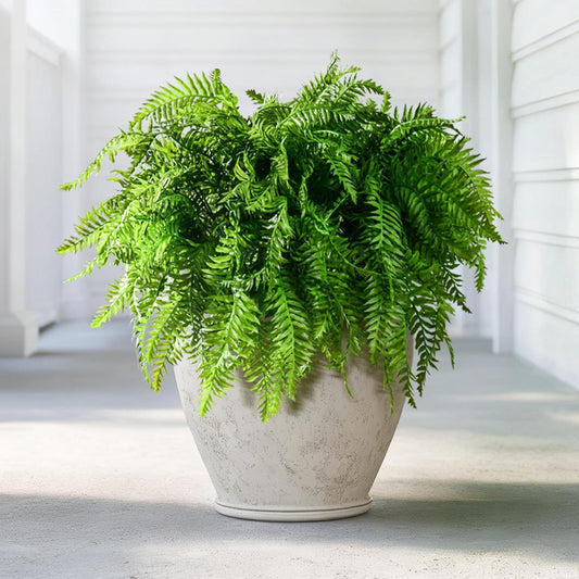 Vibrant Artificial Fern Greenery Kitchen Home Decor Display