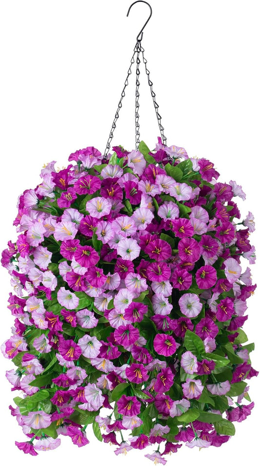 Premium Darkorchid Morning Glory Hanging Home Decor Set