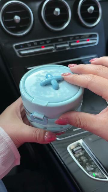 Blue cleaner case held inside a vehicle